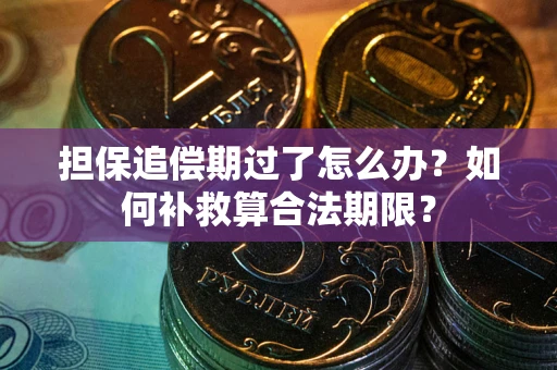武汉担保追偿期过了怎么办？如何补救算合法期限？