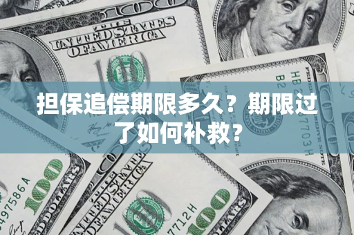 武汉担保追偿期限多久？期限过了如何补救？