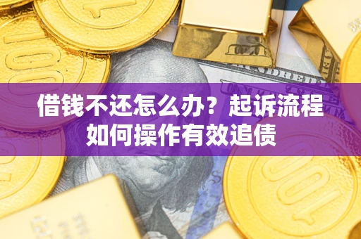 武汉借钱不还怎么办？起诉流程如何操作有效追债
