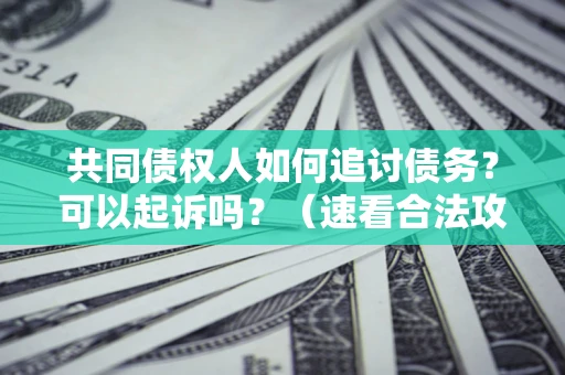 武汉共同债权人如何追讨债务？可以起诉吗？（速看合法攻略）