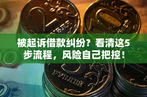 武汉被起诉借款纠纷？看清这5步流程，风险自己把控！